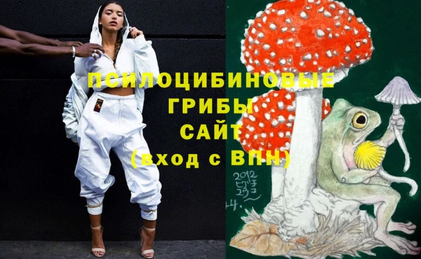 крисы Вяземский
