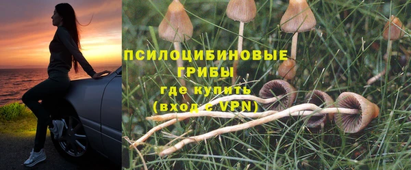 трава Вязьма