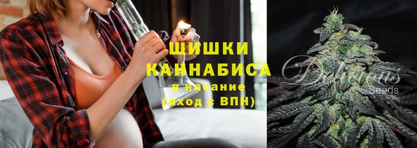 трава Вязьма