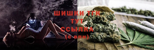 крисы Вяземский